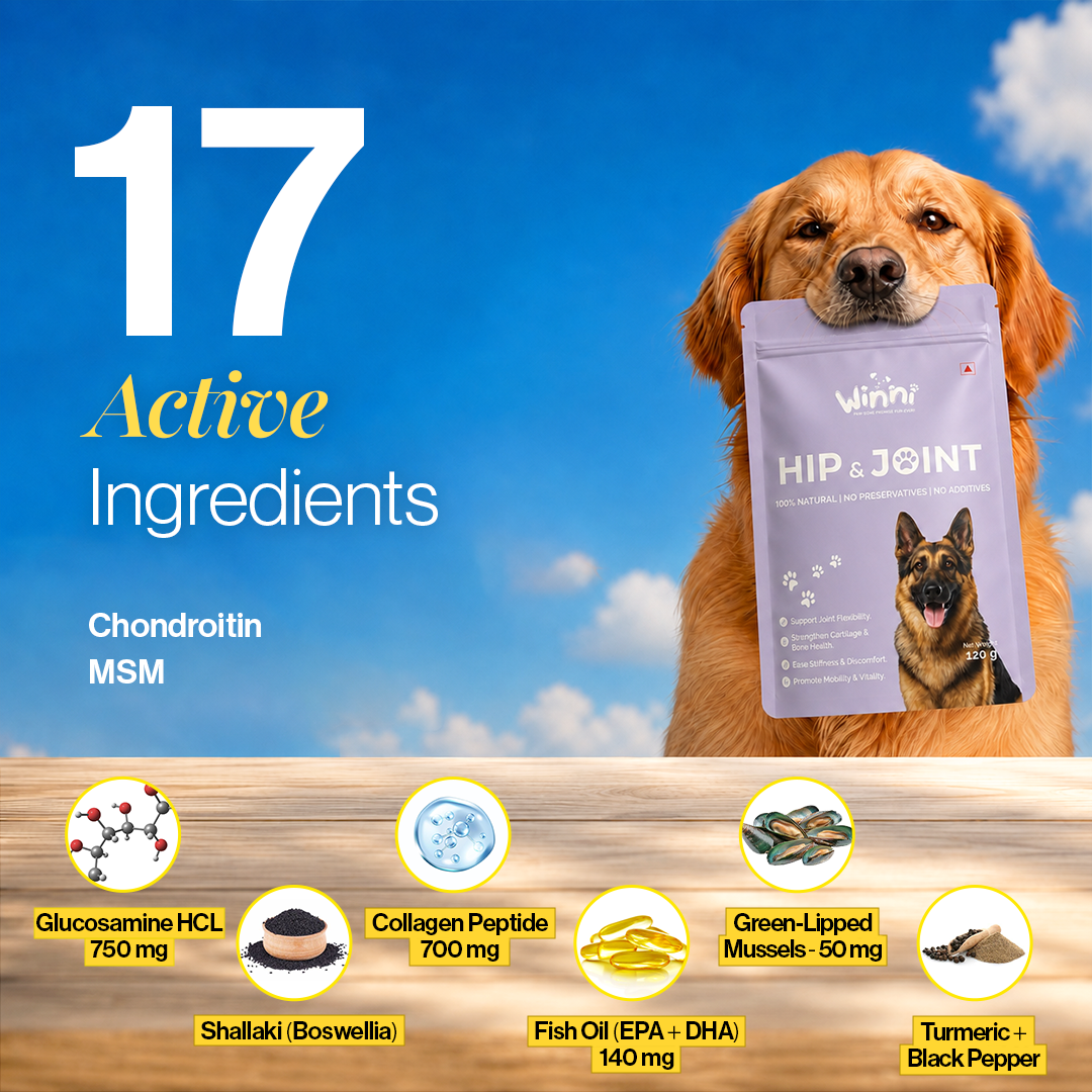 Hips & Joint Supplement for Dogs