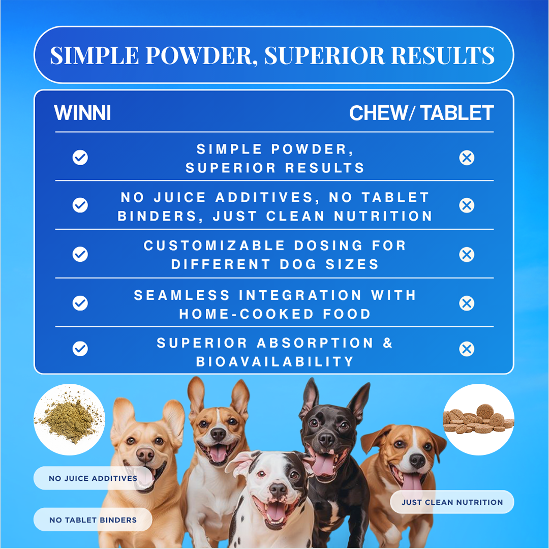 Skin & Coat Supplement for Dogs