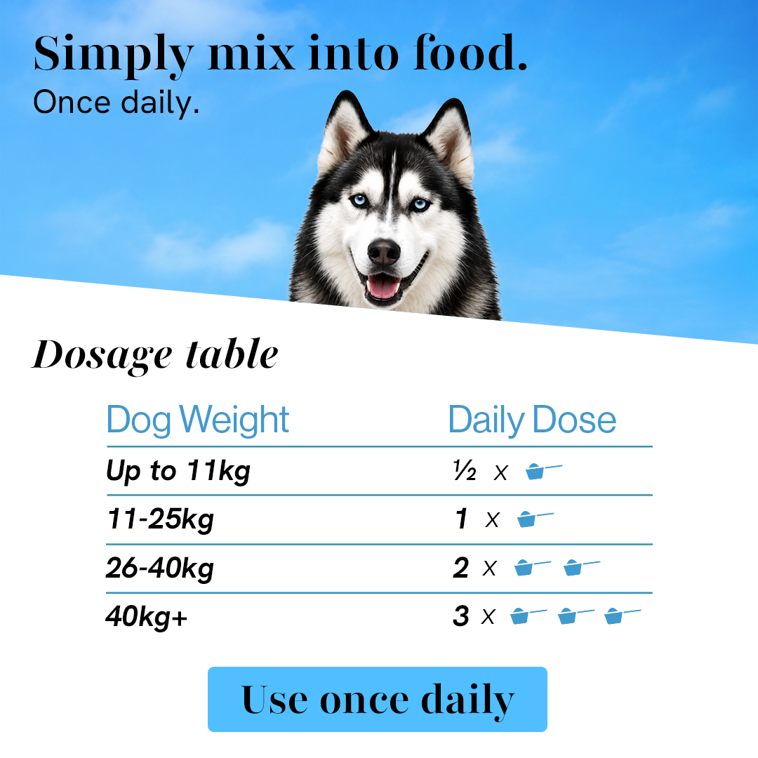 Skin & Coat Supplement for Dogs