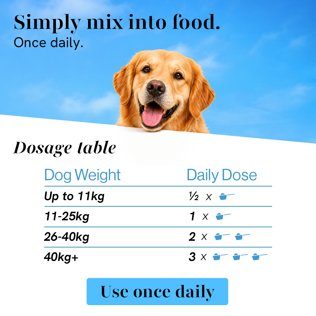 Pre + Probiotics & Gut Health Supplement for Dogs