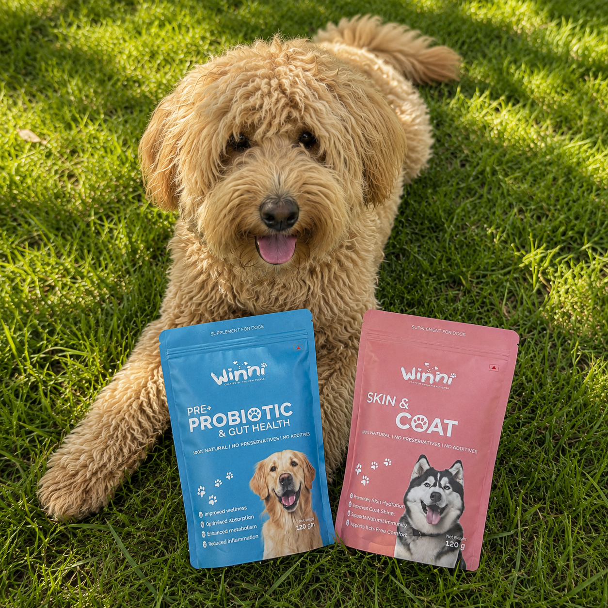 Probiotics + Skin & Coat Bundle