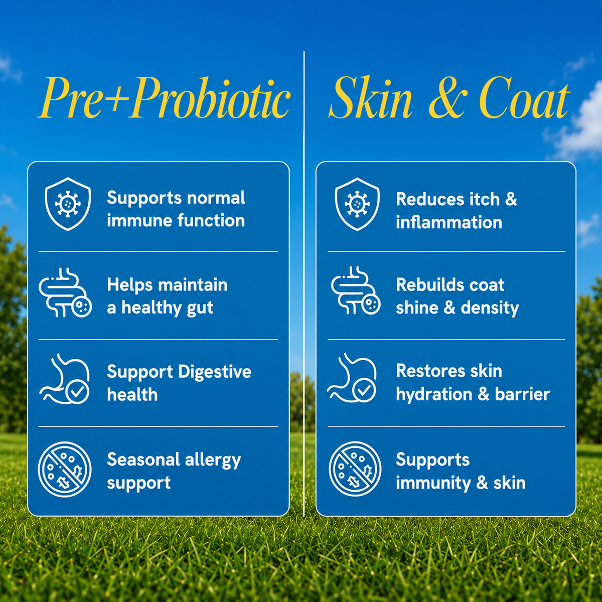 Probiotics + Skin & Coat Bundle